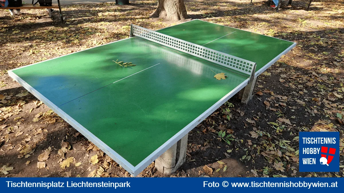 Tischtennistisch Liechtensteinpark, 9. Bezirk, Alsergrund