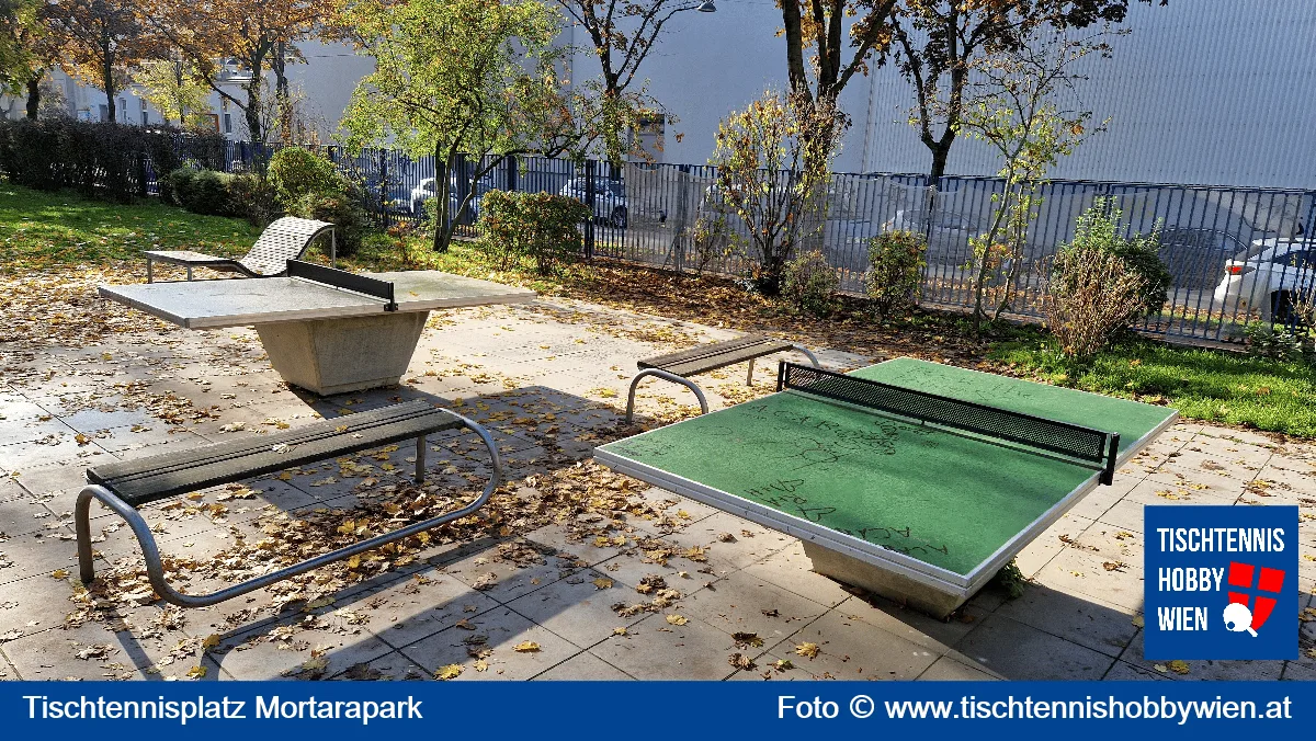 Tischtennistisch Mortarapark, 20. Bezirk, Brigittenau