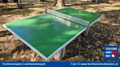 Tischtennistisch Liechtensteinpark