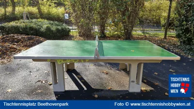 Tischtennistisch Beethovenpark