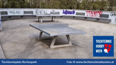 Tischtennistisch Rochuspark