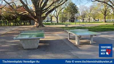 Tischtennistisch Venediger Au