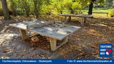 Tischtennistisch Prater - Zirkuswiese - Skaterpark